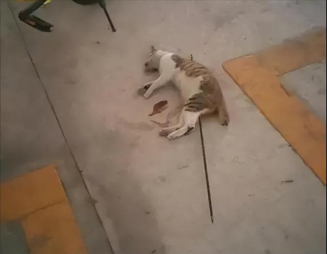 第328页