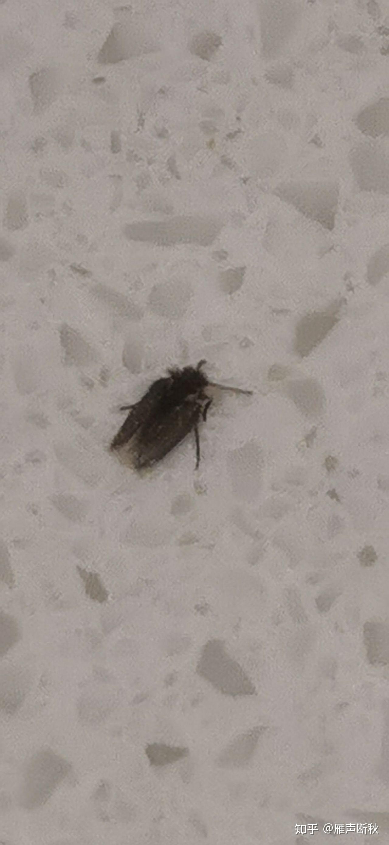 第325页