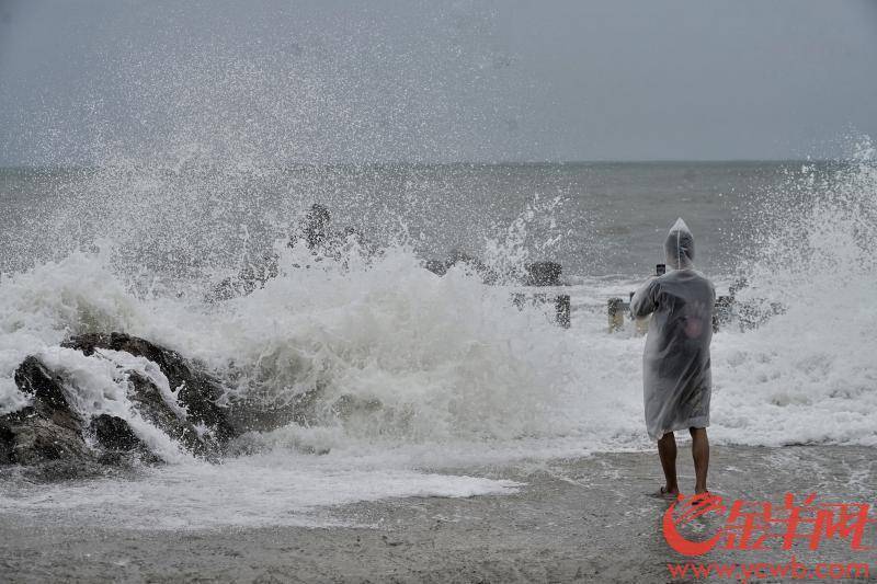 台风登陆 广东海面大浪拍岸水溅数米台风登陆广东海面，大浪拍岸溅水数米——应对与防范指南